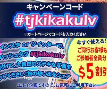 受付終了！全員＆全ツアー$5割引！【今すぐ使える キャンペーンコード #tjkikakulv】